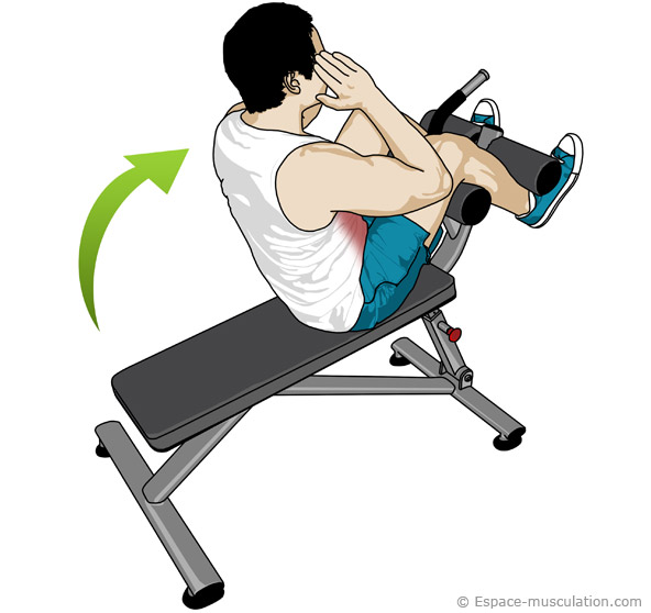 5 exercices pour des abdominaux d'enfer - Fit for Life 5 exercices pour des abdominaux d'enfer - Fit for Life