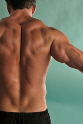 Les 5 muscles que l on oublie souvent Fit for Life