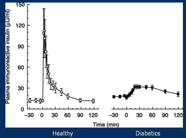 Diabetes-2008.jpg