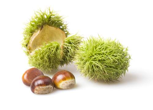 chataignes-fruit-d-hiver
