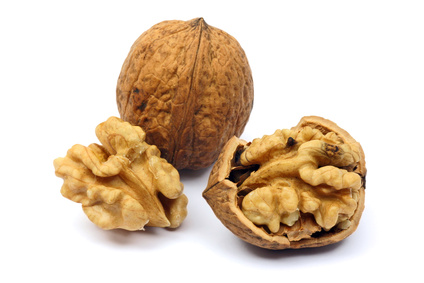 Walnut close-up, isolated on white