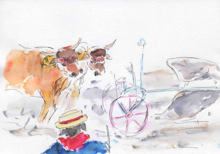 6a00d8341c6c5353ef0115709058ba970b-800wi