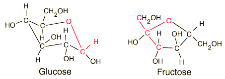 isomere-glucose-fructose