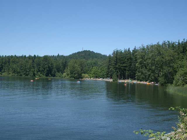 vancouver-island_elk