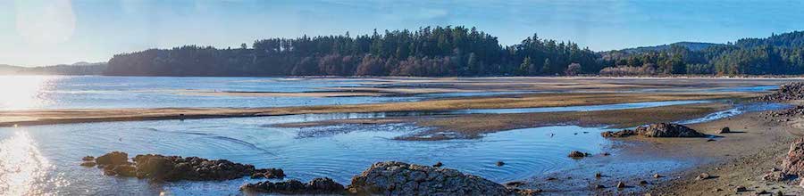 vancouver-island_wittys