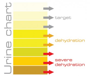 urine-chart