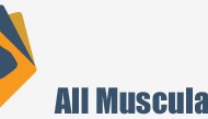 all-musculation_feat