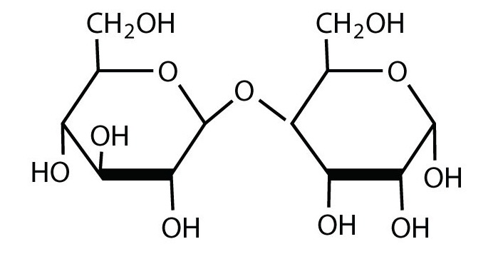 disaccharide