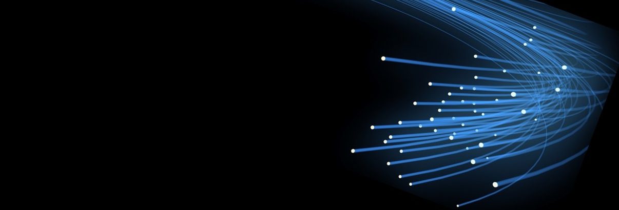 Optimisation du site Fit for Life